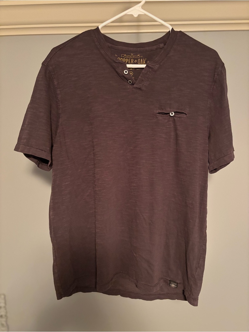 Cooper & Oak Men's Short Sleeve V-Neck Tee in Plum